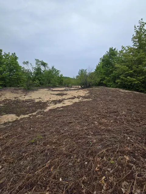 000 Durkalic Rd, Pellston, MI 49769 photo 7
