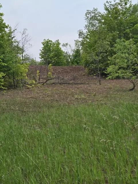000 Durkalic Rd, Pellston, MI 49769 photo 6