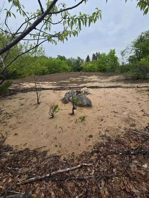 000 Durkalic Rd, Pellston, MI 49769 photo 12