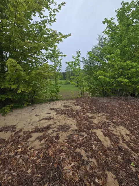 000 Durkalic Rd, Pellston, MI 49769 photo 10