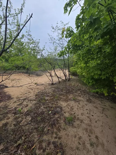 000 Durkalic Rd, Pellston, MI 49769 photo 11