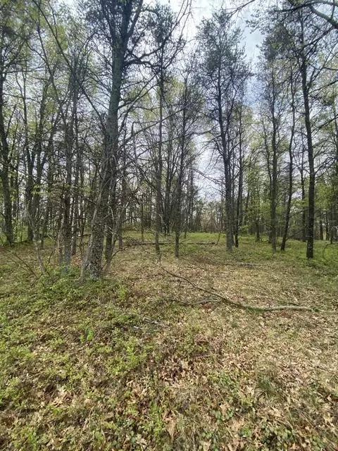lot S 5 6 Maple Ridge Rd, Mio, MI 48647