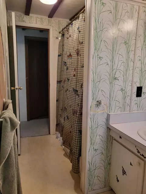 Bath - 108 Woodleaf Dr, Grayling, MI 49738 photo 3 of 6