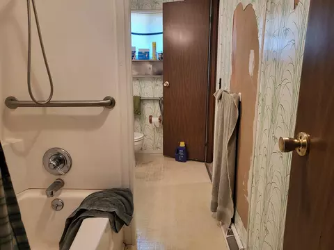 Bath - 108 Woodleaf Dr, Grayling, MI 49738 photo 4 of 6