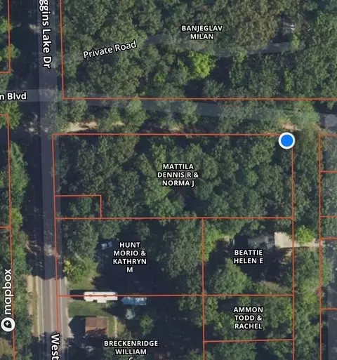 43 44 Jackson Blvd, Roscommon, MI 48653 photo 9