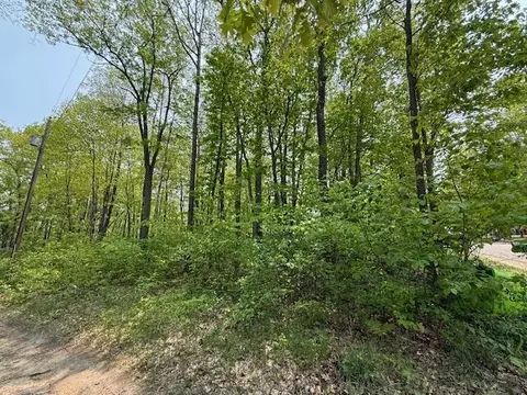 43 44 Jackson Blvd, Roscommon, MI 48653 photo 4