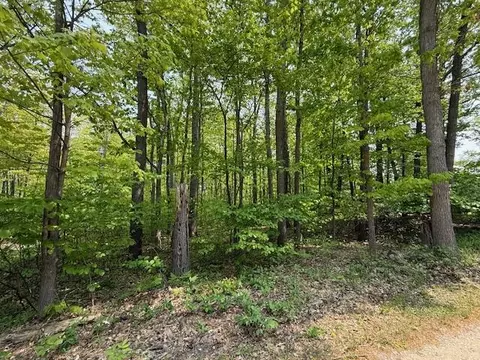43 44 Jackson Blvd, Roscommon, MI 48653