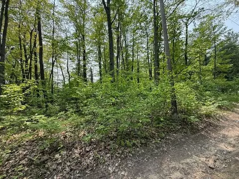 43 44 Jackson Blvd, Roscommon, MI 48653 photo 5