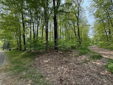 43 44 Jackson Blvd, Roscommon, MI 48653 photo 7