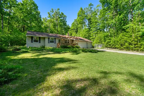 9707 Rogers Rd, Alanson, MI 49706