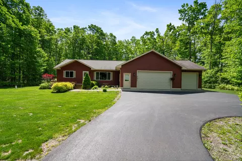 11193 Hassler Woods Trl, Alanson, MI 49706