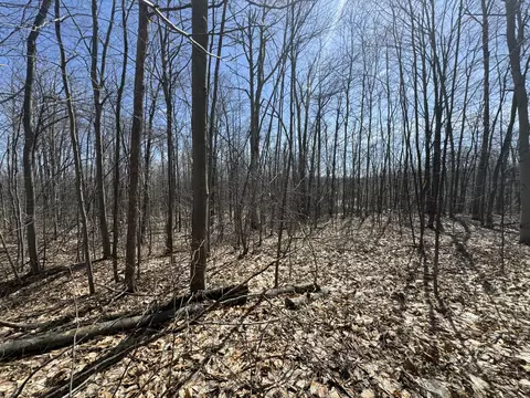 brudy road, Wolverine, MI 49799 photo 4