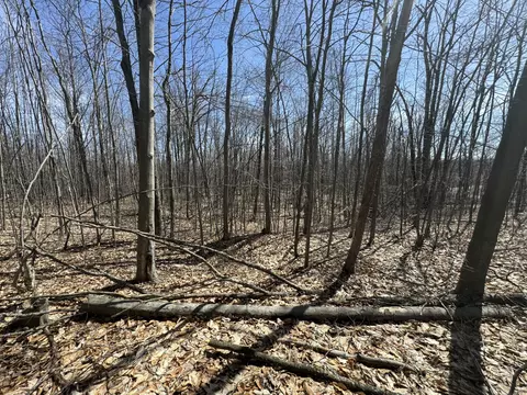 brudy road, Wolverine, MI 49799 photo 2
