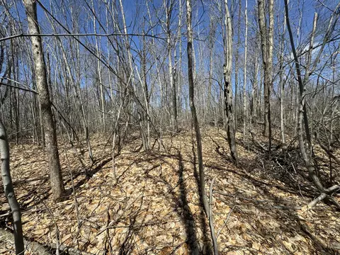brudy road, Wolverine, MI 49799 photo 3