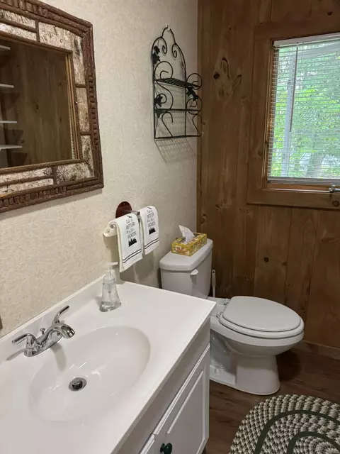 7386 Cheboygan St, Alanson, MI 49706 photo 18