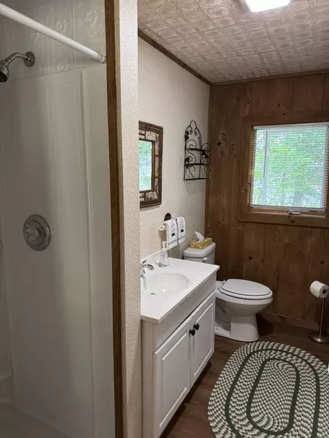 7386 Cheboygan St, Alanson, MI 49706 photo 19