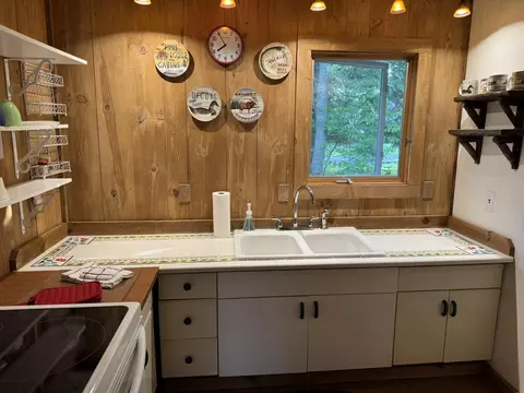 7386 Cheboygan St, Alanson, MI 49706 photo 14