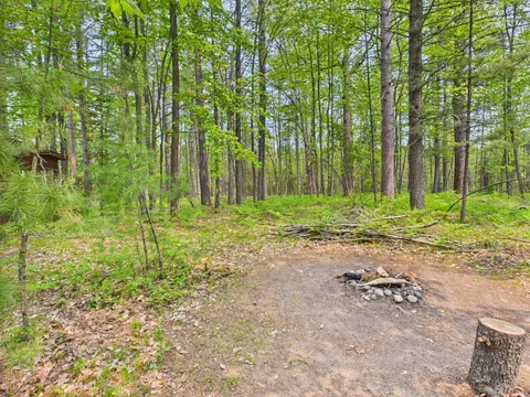 Exterior - 10985 Sanctuary Dr, Frederic, MI 49733 photo 4 of 9