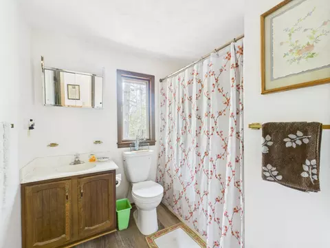 Bath - 10985 Sanctuary Dr, Frederic, MI 49733 photo 2 of 2