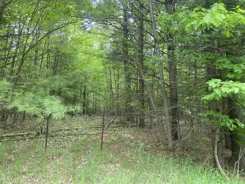 S Poor Farm Rd., Harrisville, MI 48740