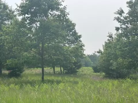 thiem road, Herron, MI 49744 photo 8