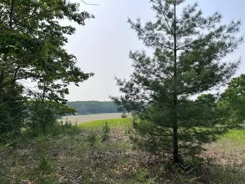 thiem road, Herron, MI 49744 photo 3