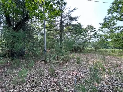 thiem road, Herron, MI 49744 photo 11