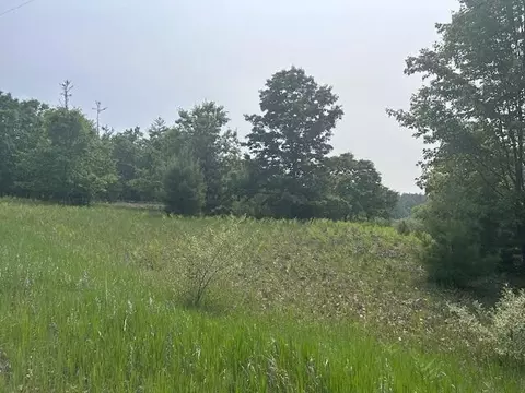 thiem road, Herron, MI 49744 photo 7
