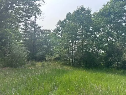 thiem road, Herron, MI 49744 photo 10