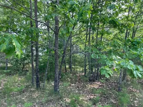 thiem road, Herron, MI 49744 photo 6