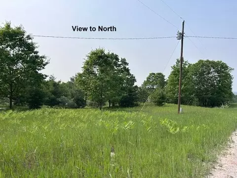 thiem road, Herron, MI 49744 photo 16