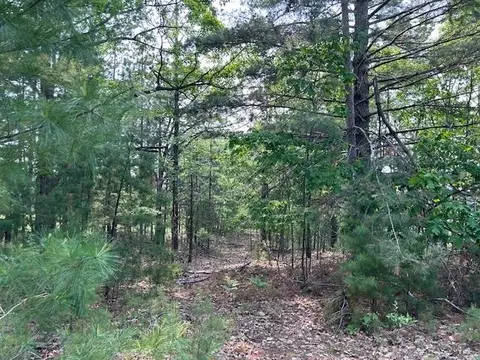 thiem road, Herron, MI 49744 photo 5