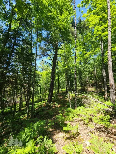 mcintire road, Comins, MI 48619 photo 14