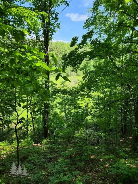 mcintire road, Comins, MI 48619 photo 11