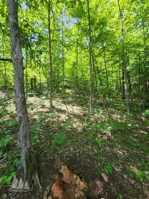 mcintire road, Comins, MI 48619 photo 7