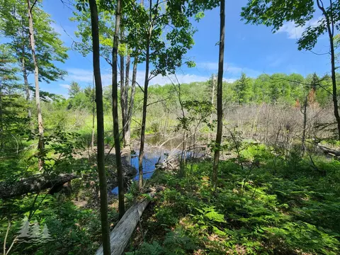 mcintire road, Comins, MI 48619 photo 5