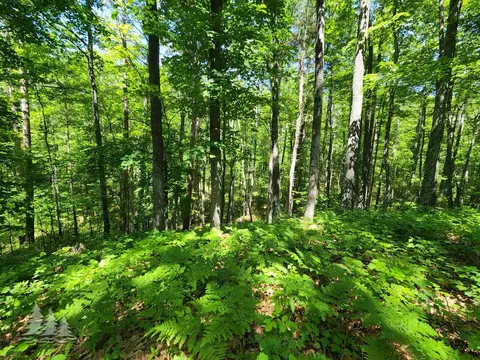 mcintire road, Comins, MI 48619 photo 12