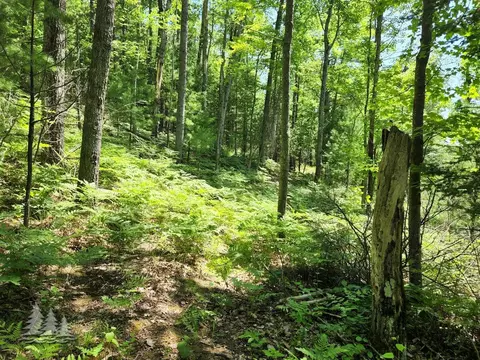 mcintire road, Comins, MI 48619 photo 17