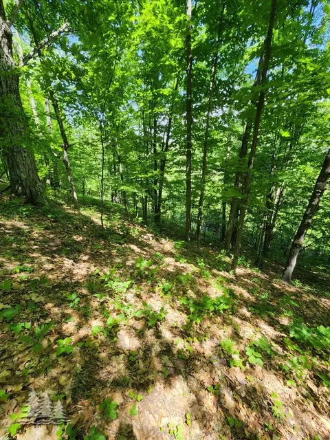 mcintire road, Comins, MI 48619 photo 9
