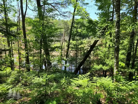mcintire road, Comins, MI 48619 photo 16