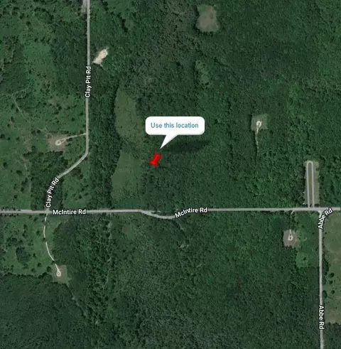 mcintire road, Comins, MI 48619 photo 2