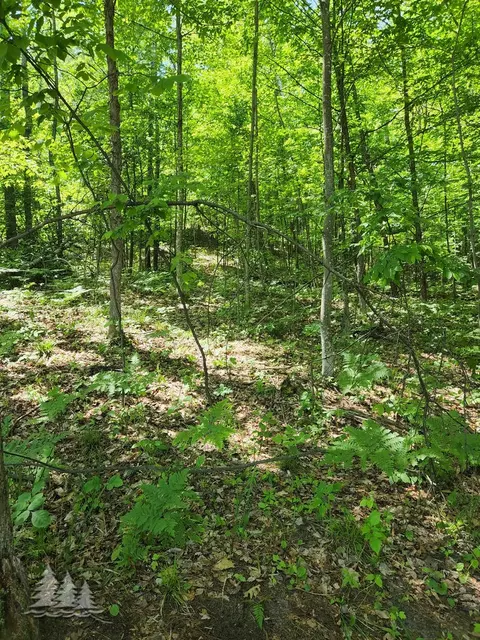 mcintire road, Comins, MI 48619 photo 6