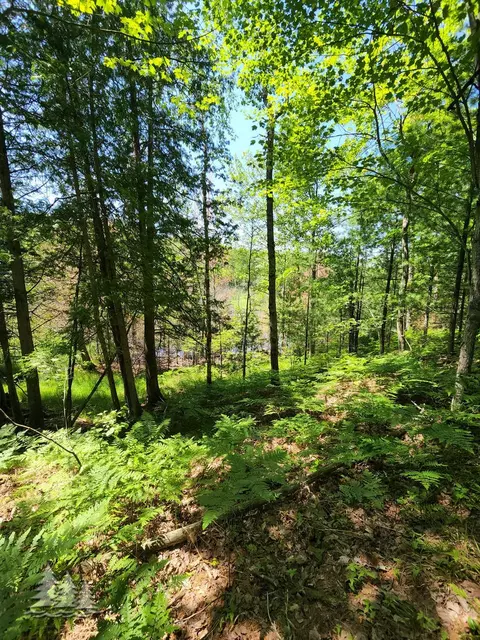 mcintire road, Comins, MI 48619 photo 15