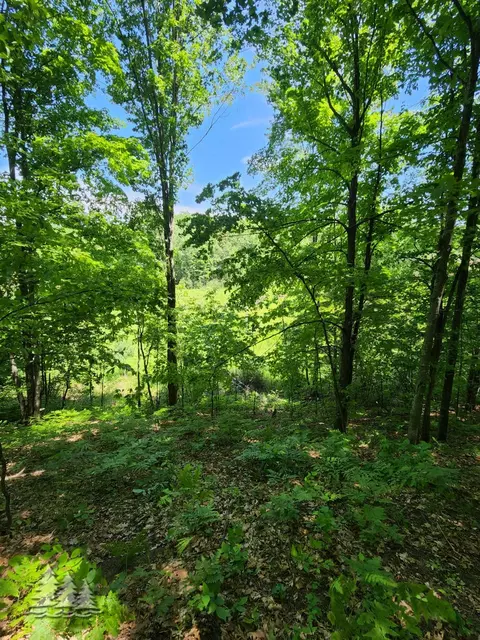 mcintire road, Comins, MI 48619 photo 10