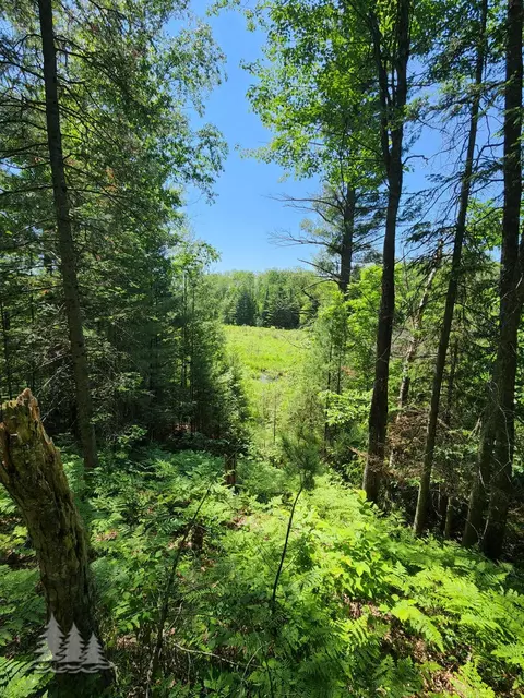 mcintire road, Comins, MI 48619 photo 13