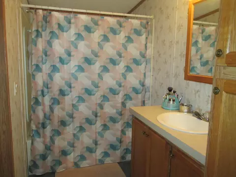 Bath - 5189 Pinecrest Dr, Lewiston, MI 49756 photo 2 of 3