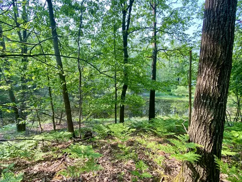 1086 1087 Michaywe Drive Lots 10861087 Dr #LOT S 1086,1087, Gaylord, MI 49735