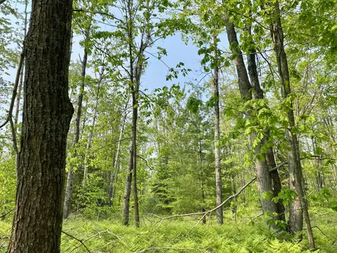 lot1827 Sandpiper Trl, Gaylord, MI 49735