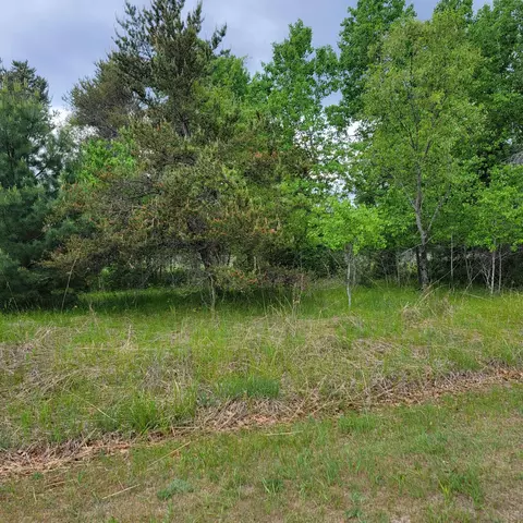 lot61 Otter Dr, Saint Helen, MI 48656