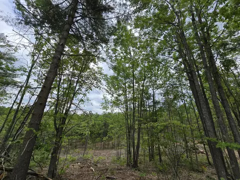 s mt tom road, Mio, MI 48647 photo 21